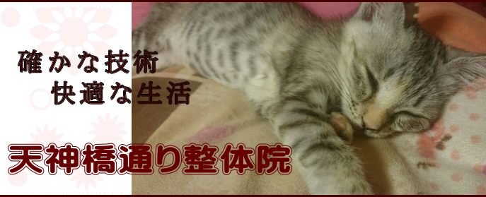 ヘッダーイメージ